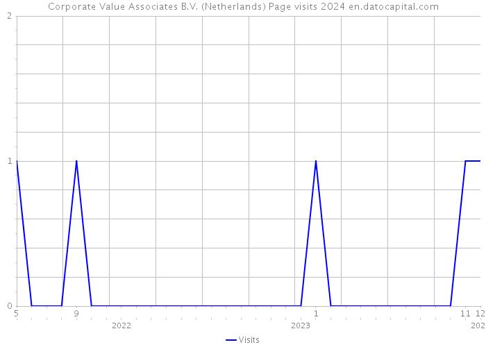 Corporate Value Associates B.V. (Netherlands) Page visits 2024 