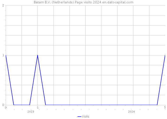 Batam B.V. (Netherlands) Page visits 2024 