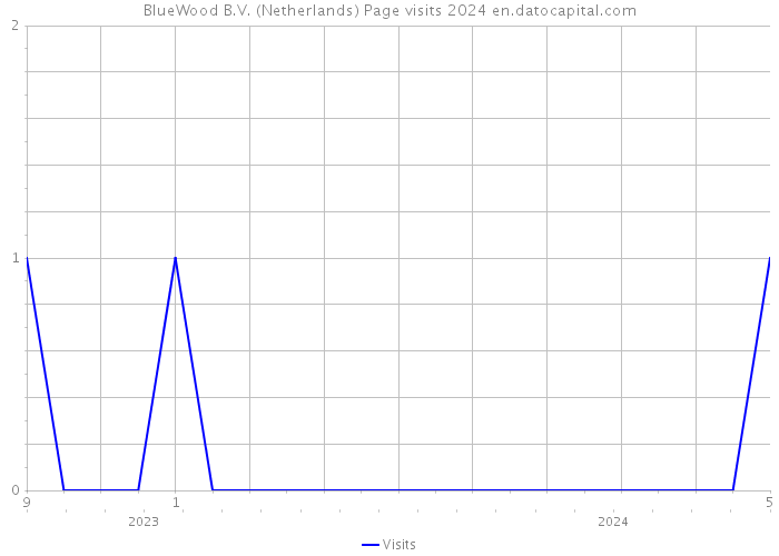 BlueWood B.V. (Netherlands) Page visits 2024 