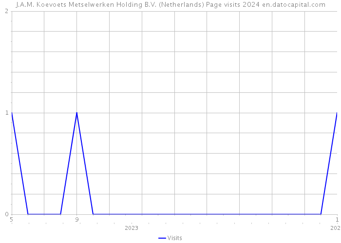 J.A.M. Koevoets Metselwerken Holding B.V. (Netherlands) Page visits 2024 