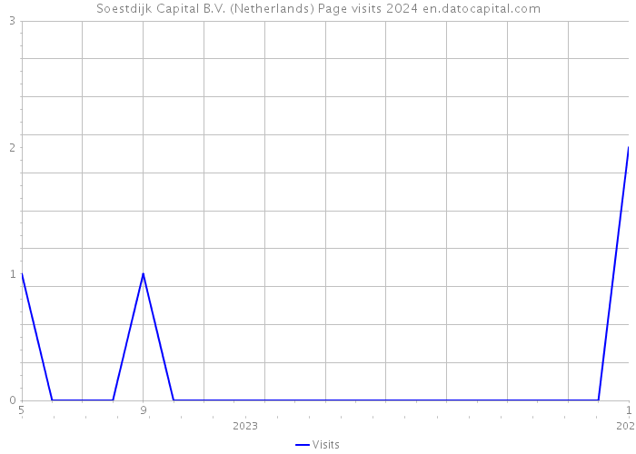 Soestdijk Capital B.V. (Netherlands) Page visits 2024 