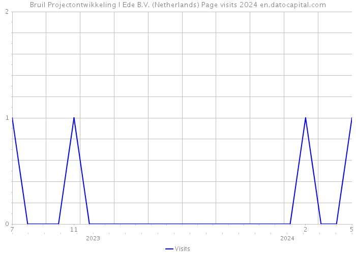 Bruil Projectontwikkeling I Ede B.V. (Netherlands) Page visits 2024 