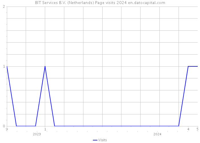 BIT Services B.V. (Netherlands) Page visits 2024 