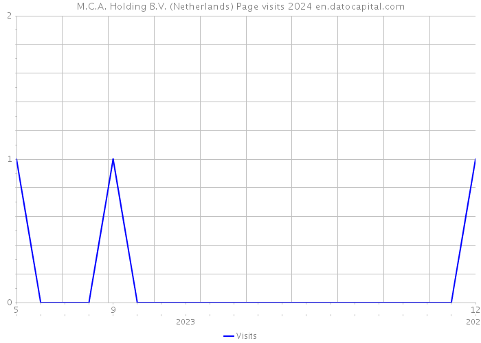 M.C.A. Holding B.V. (Netherlands) Page visits 2024 