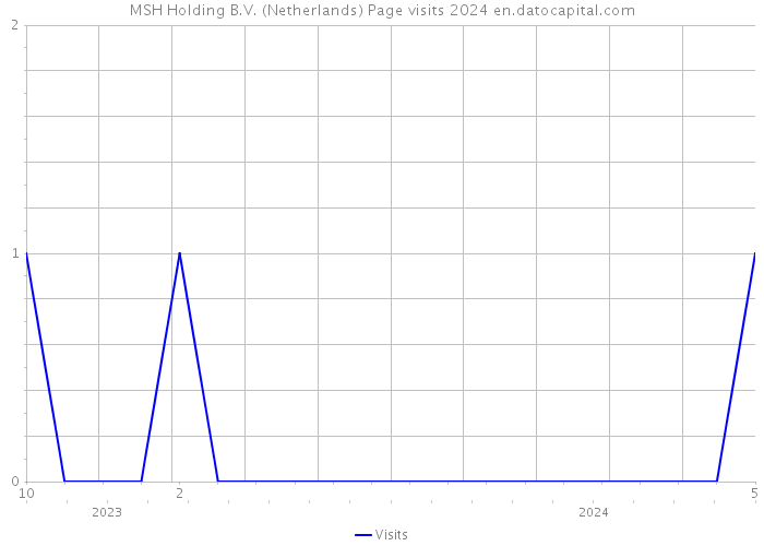 MSH Holding B.V. (Netherlands) Page visits 2024 