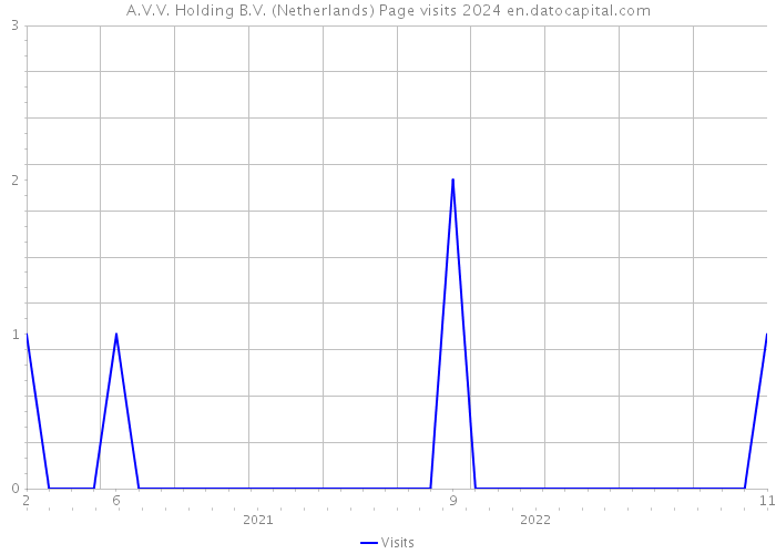 A.V.V. Holding B.V. (Netherlands) Page visits 2024 