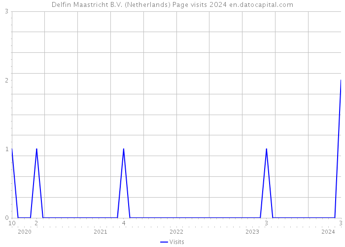 Delfin Maastricht B.V. (Netherlands) Page visits 2024 
