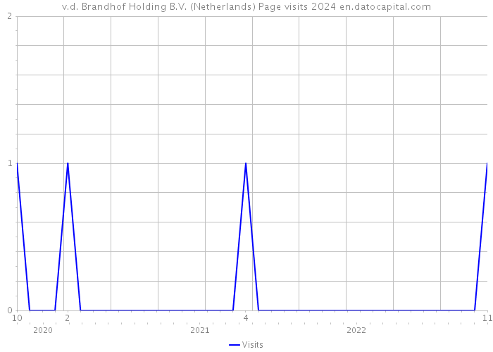 v.d. Brandhof Holding B.V. (Netherlands) Page visits 2024 