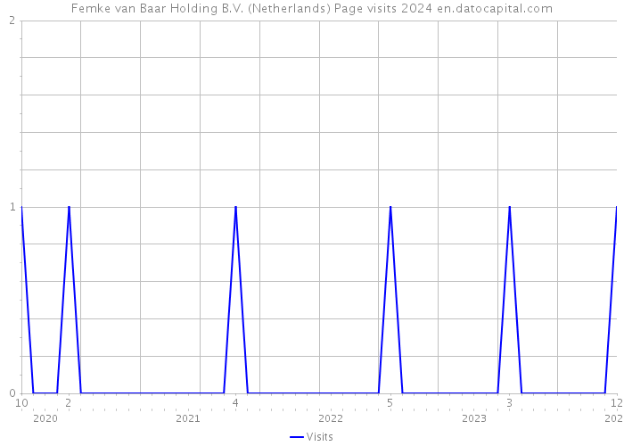 Femke van Baar Holding B.V. (Netherlands) Page visits 2024 