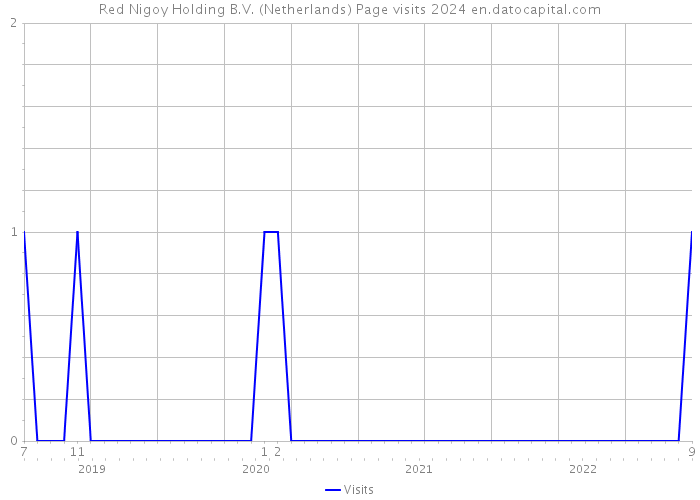 Red Nigoy Holding B.V. (Netherlands) Page visits 2024 