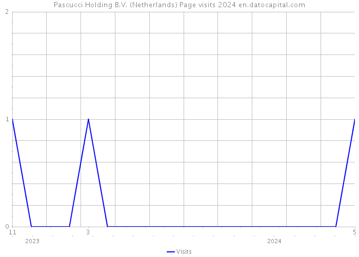 Pascucci Holding B.V. (Netherlands) Page visits 2024 