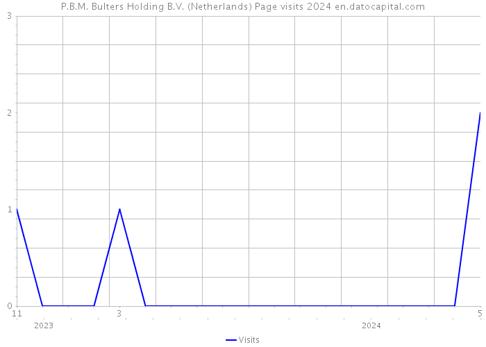 P.B.M. Bulters Holding B.V. (Netherlands) Page visits 2024 