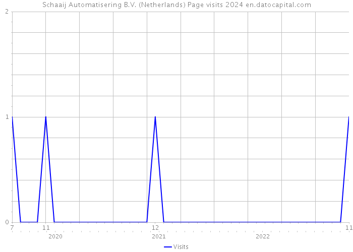 Schaaij Automatisering B.V. (Netherlands) Page visits 2024 