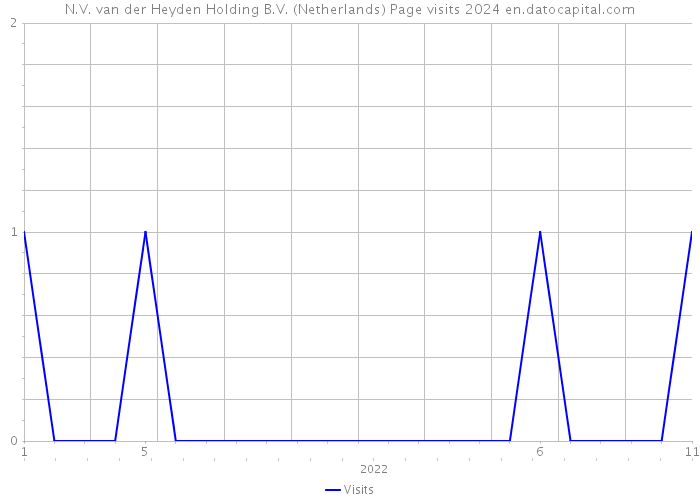 N.V. van der Heyden Holding B.V. (Netherlands) Page visits 2024 