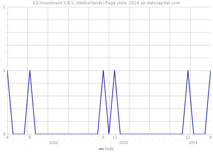 KS Investment II B.V. (Netherlands) Page visits 2024 