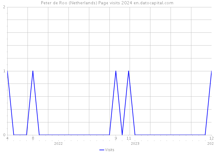 Peter de Roo (Netherlands) Page visits 2024 