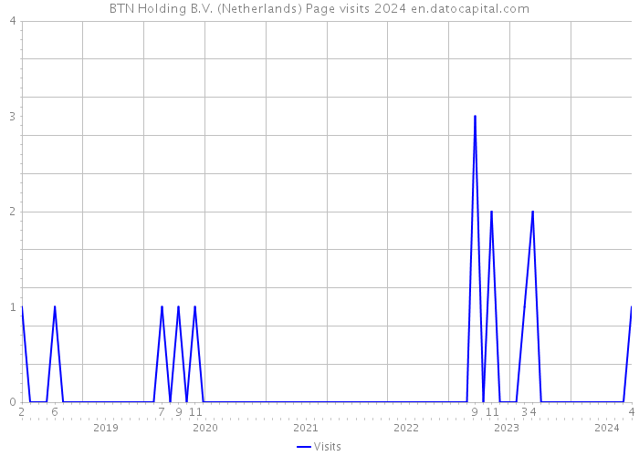 BTN Holding B.V. (Netherlands) Page visits 2024 