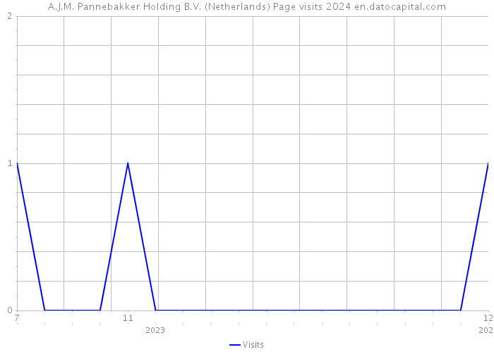 A.J.M. Pannebakker Holding B.V. (Netherlands) Page visits 2024 