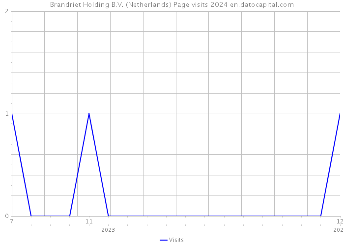 Brandriet Holding B.V. (Netherlands) Page visits 2024 