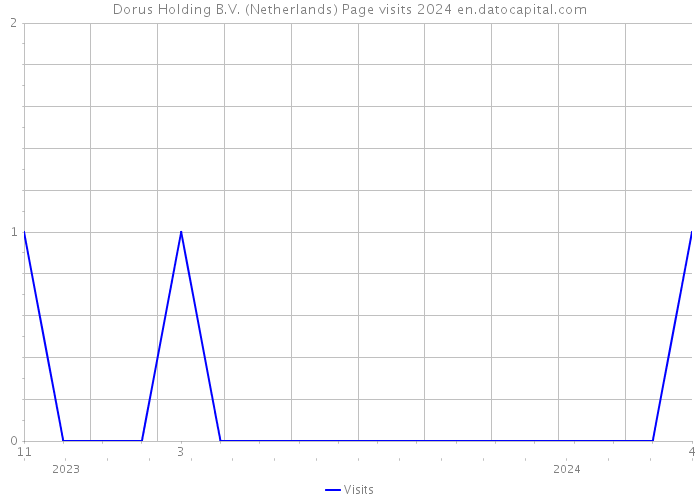 Dorus Holding B.V. (Netherlands) Page visits 2024 