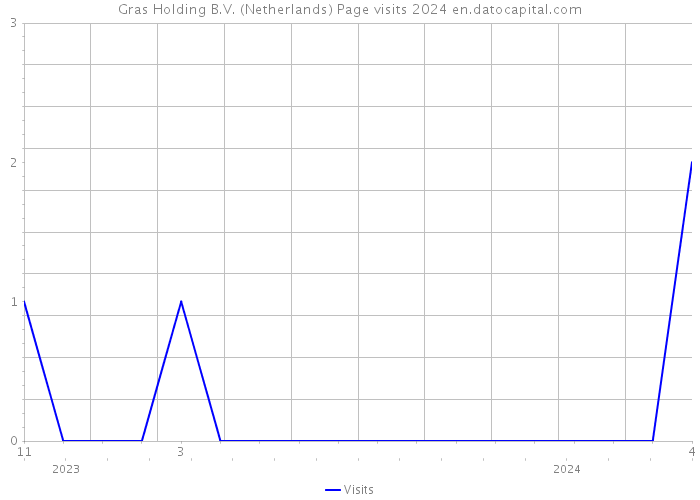 Gras Holding B.V. (Netherlands) Page visits 2024 