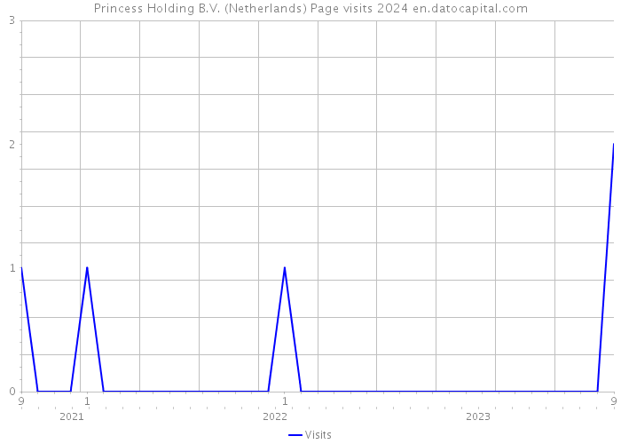 Princess Holding B.V. (Netherlands) Page visits 2024 