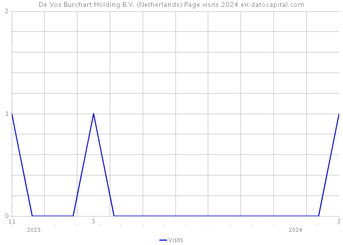 De Vos Burchart Holding B.V. (Netherlands) Page visits 2024 