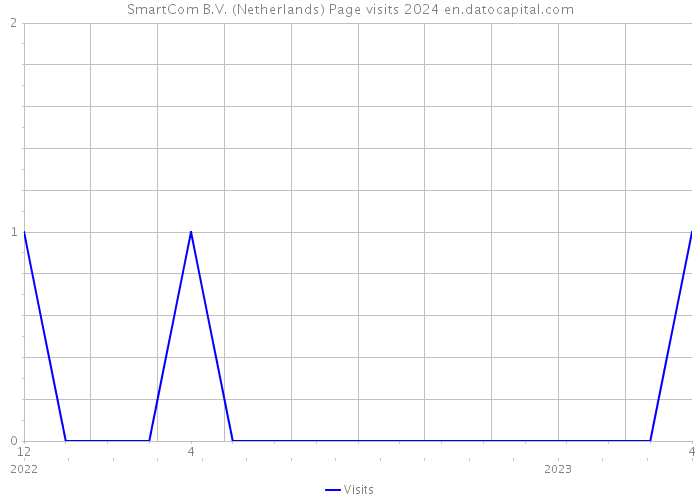 SmartCom B.V. (Netherlands) Page visits 2024 
