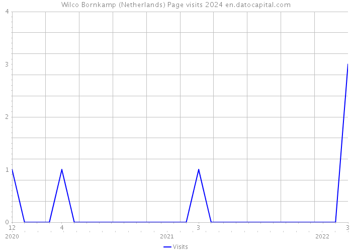 Wilco Bornkamp (Netherlands) Page visits 2024 