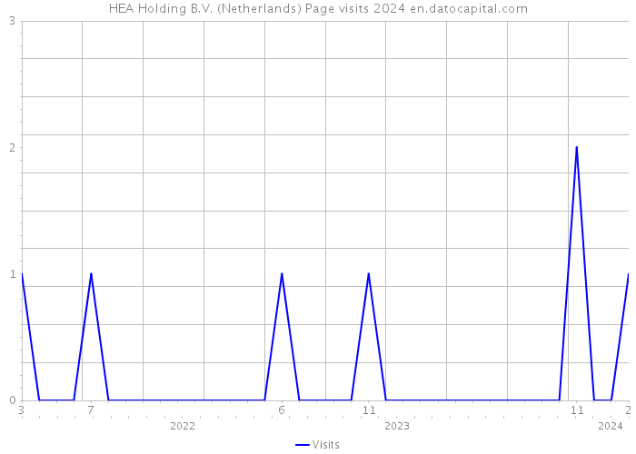 HEA Holding B.V. (Netherlands) Page visits 2024 