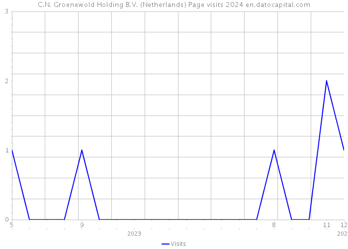 C.N. Groenewold Holding B.V. (Netherlands) Page visits 2024 