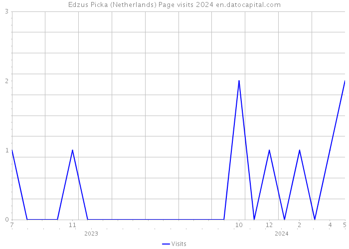Edzus Picka (Netherlands) Page visits 2024 