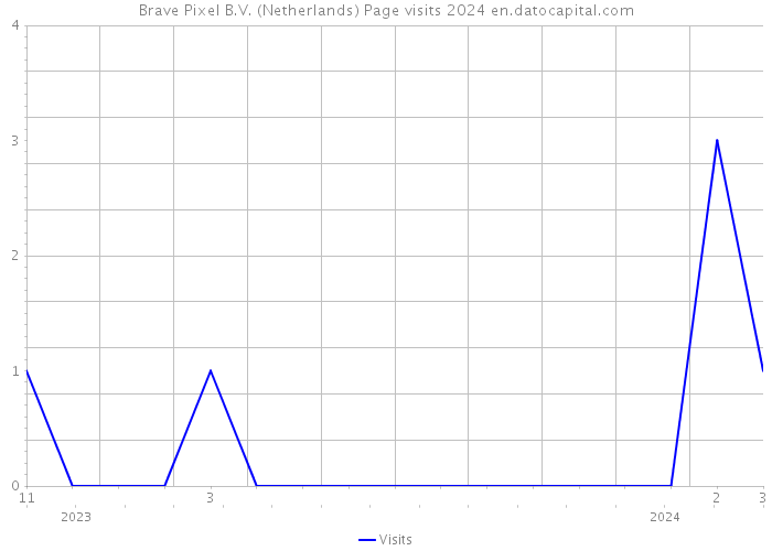 Brave Pixel B.V. (Netherlands) Page visits 2024 