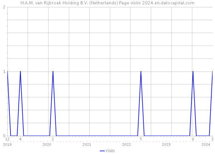 H.A.M. van Rijbroek Holding B.V. (Netherlands) Page visits 2024 