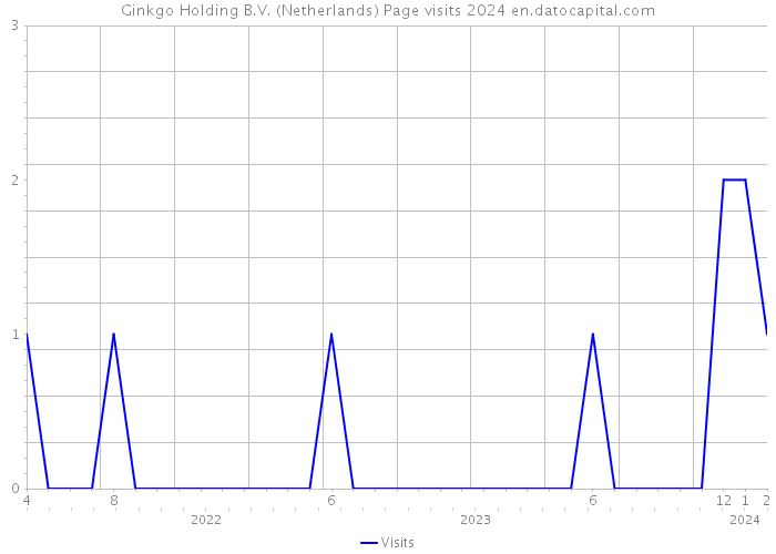 Ginkgo Holding B.V. (Netherlands) Page visits 2024 
