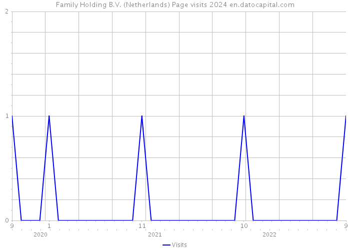 Family Holding B.V. (Netherlands) Page visits 2024 