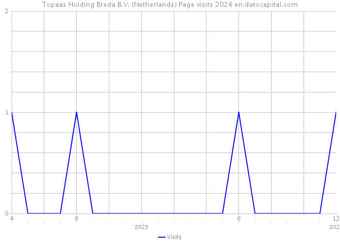 Topaas Holding Breda B.V. (Netherlands) Page visits 2024 