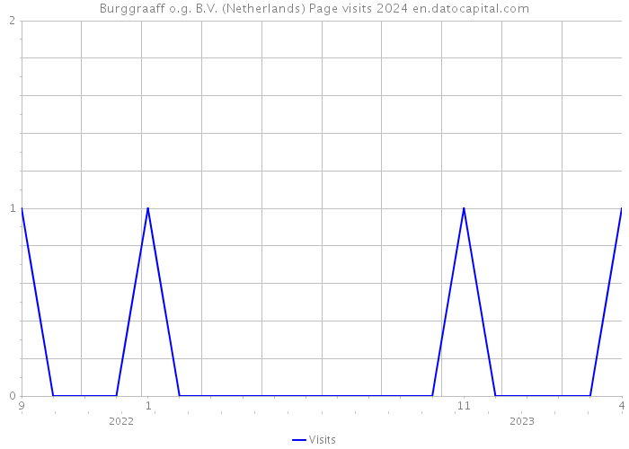 Burggraaff o.g. B.V. (Netherlands) Page visits 2024 