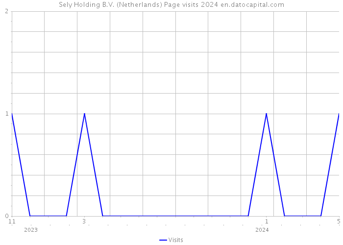Sely Holding B.V. (Netherlands) Page visits 2024 