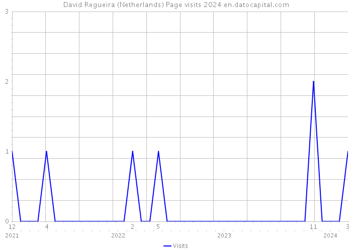 David Regueira (Netherlands) Page visits 2024 