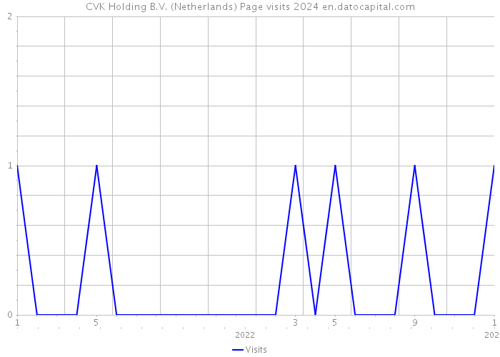 CVK Holding B.V. (Netherlands) Page visits 2024 