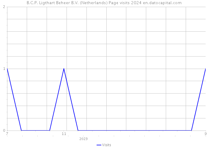 B.C.P. Ligthart Beheer B.V. (Netherlands) Page visits 2024 