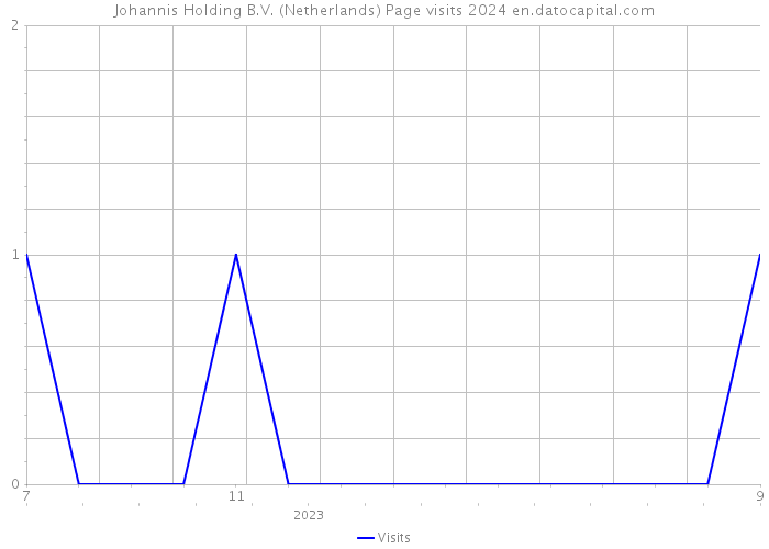 Johannis Holding B.V. (Netherlands) Page visits 2024 