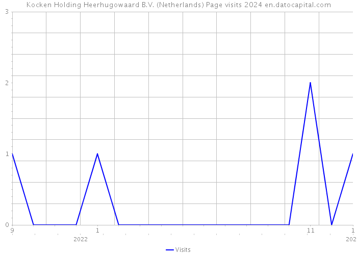 Kocken Holding Heerhugowaard B.V. (Netherlands) Page visits 2024 