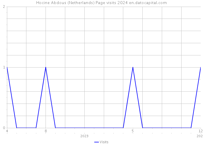 Hocine Abdous (Netherlands) Page visits 2024 