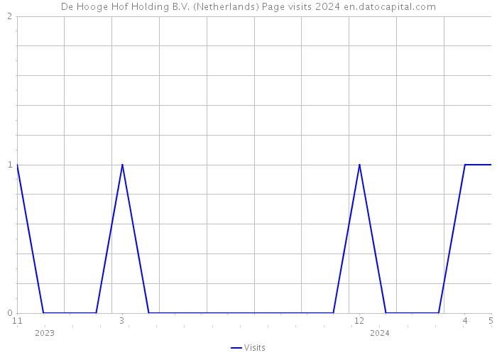 De Hooge Hof Holding B.V. (Netherlands) Page visits 2024 