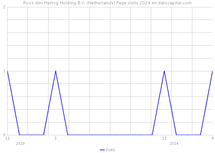 Roos den Hartog Holding B.V. (Netherlands) Page visits 2024 