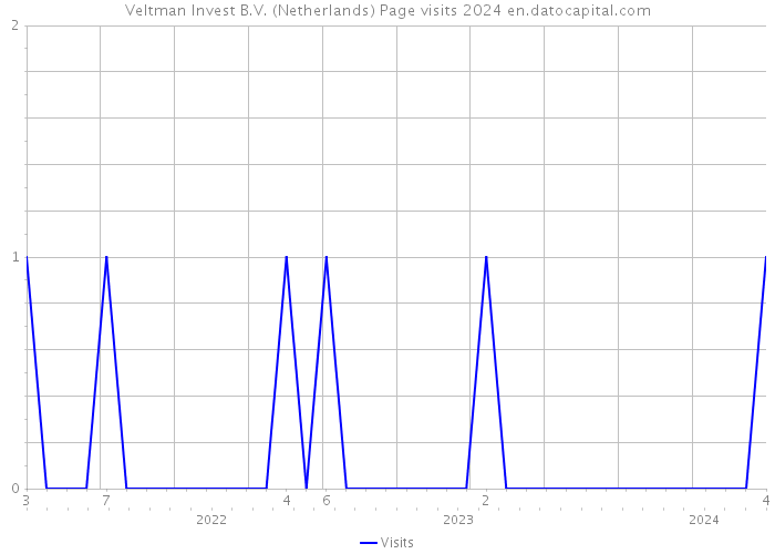 Veltman Invest B.V. (Netherlands) Page visits 2024 
