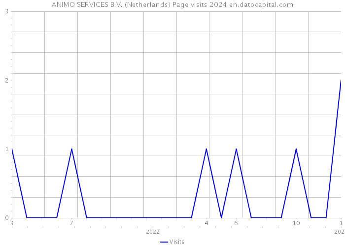 ANIMO SERVICES B.V. (Netherlands) Page visits 2024 