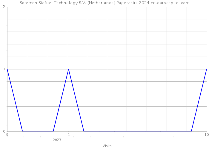 Bateman Biofuel Technology B.V. (Netherlands) Page visits 2024 